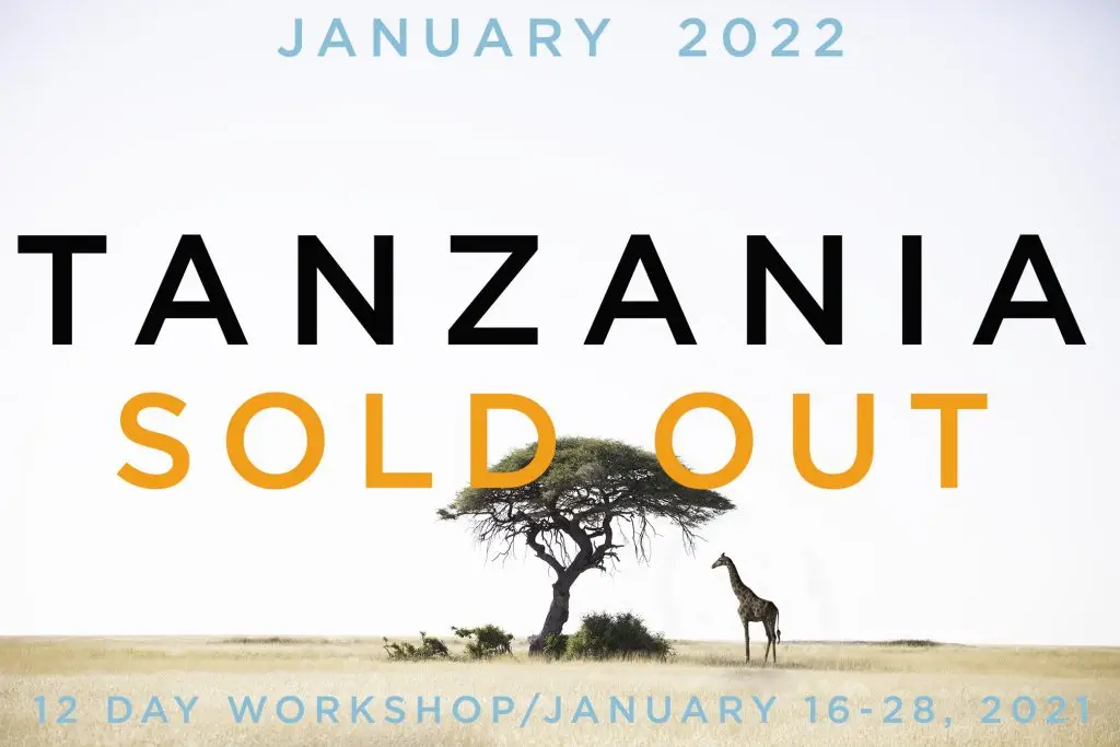 2H3A3784 layers soldout