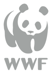 wwf 2