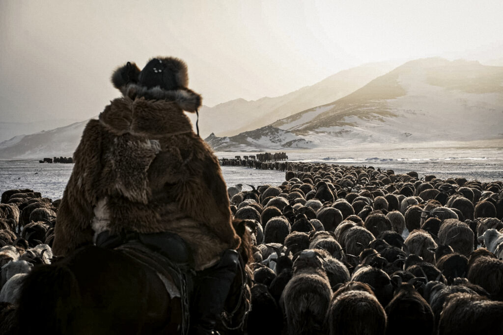 Winter migration 2 2
